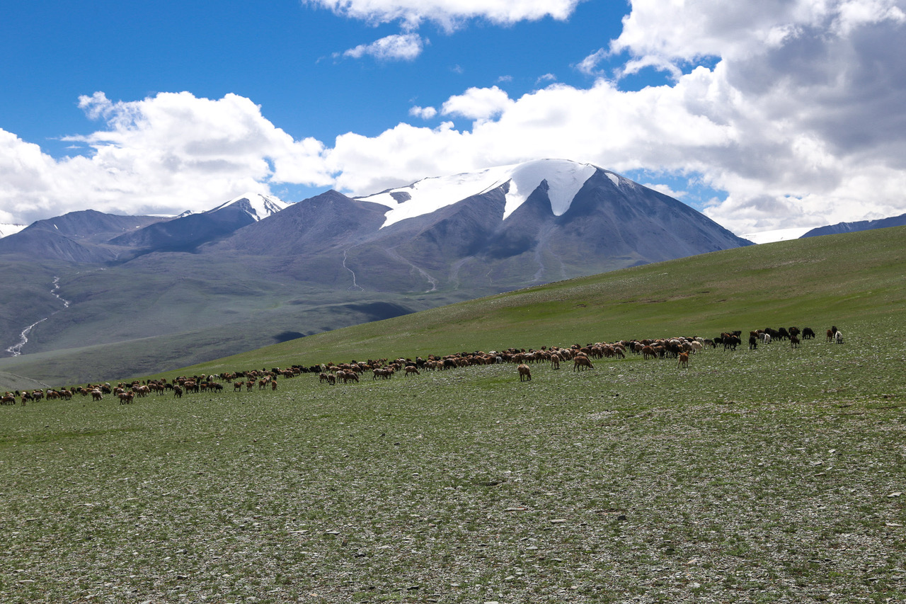 Dernier jour de trek dans l'Altaï