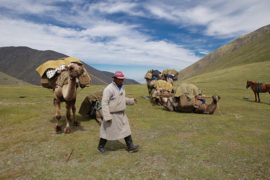 L’un de nos chameliers mongols