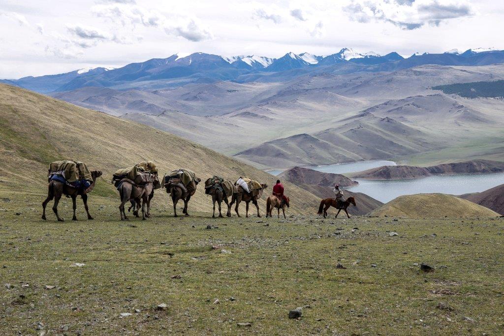 La caravane de chameau avec en toile de fond le lac Khukh Nuur