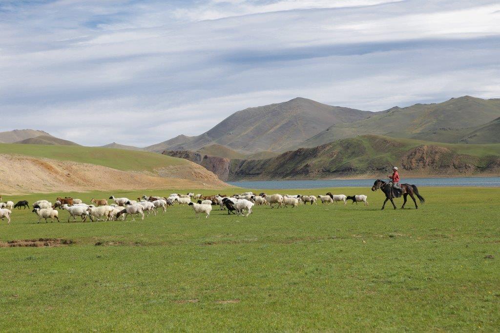 Arrivée sur les rives du lac Khukh Nuur