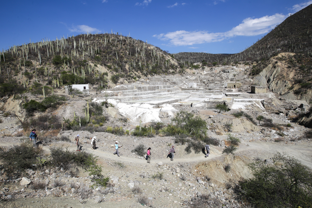 Zapotitlan de las Salinas et Tehuacan