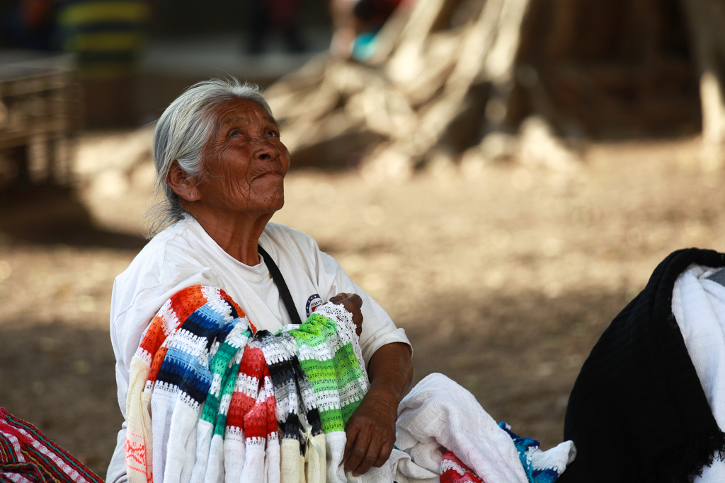 De Monte Alban et Oaxaca