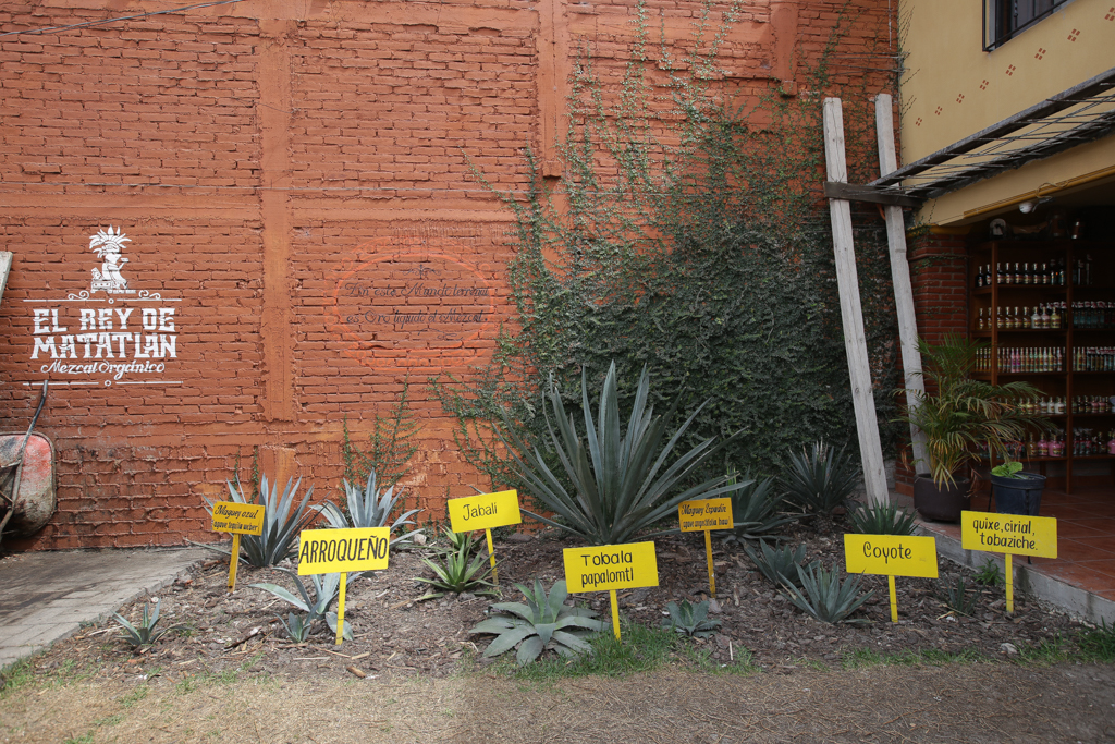 Des Pueblos Mancomunados à Mitla