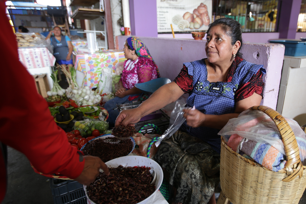 Des Pueblos Mancomunados à Mitla