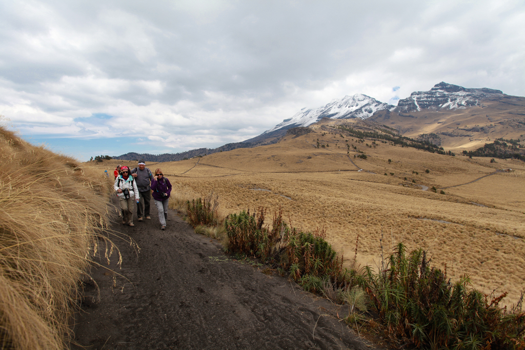 Sur le sentier qui ramène au paso de Cortés - Les volcans du Mexique