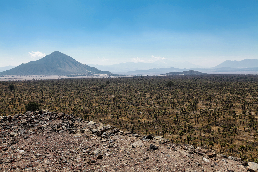 Depuis le sommet de la grande pyramide, la végétation a poussé sur la coulée de lave - Cantona