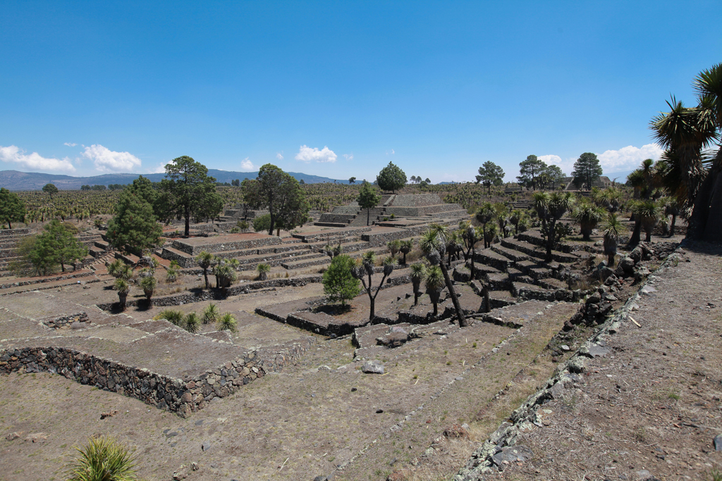 Au cœur de la cité, des terrasses destinées aux cultures - Cantona