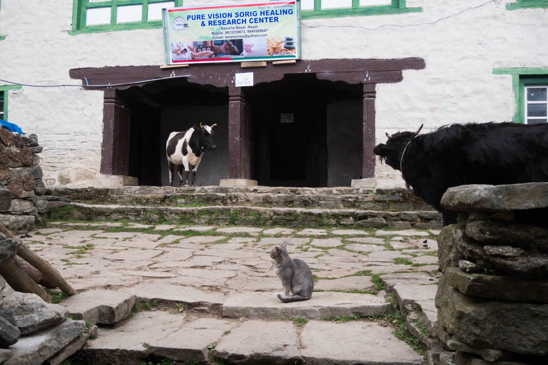 Namche Bazar - De Phakding à Namche Bazar