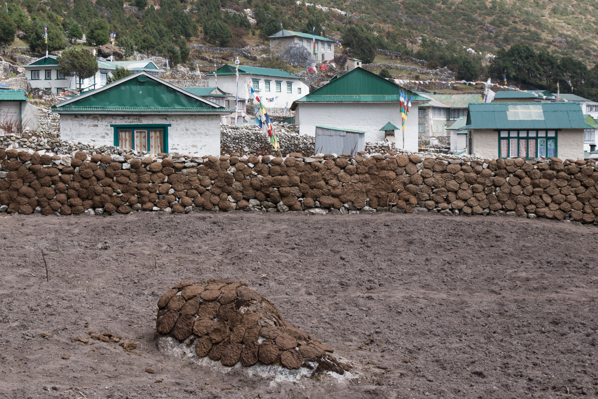 Bouses séchées (combustible) - Kumjung, Kunde retour Namche