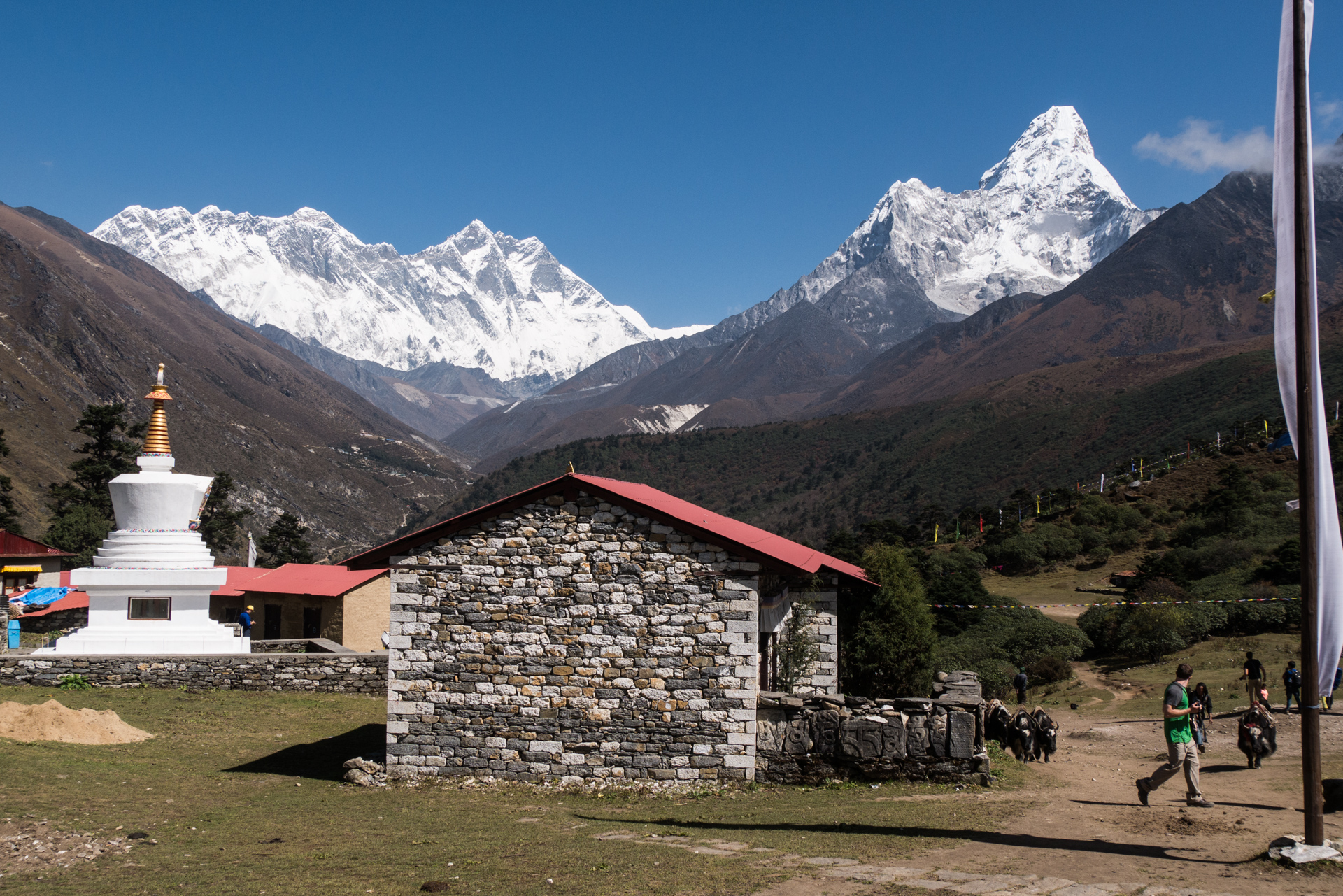 L'Ama Dablam depuis le monastère - Trek > Tengboche