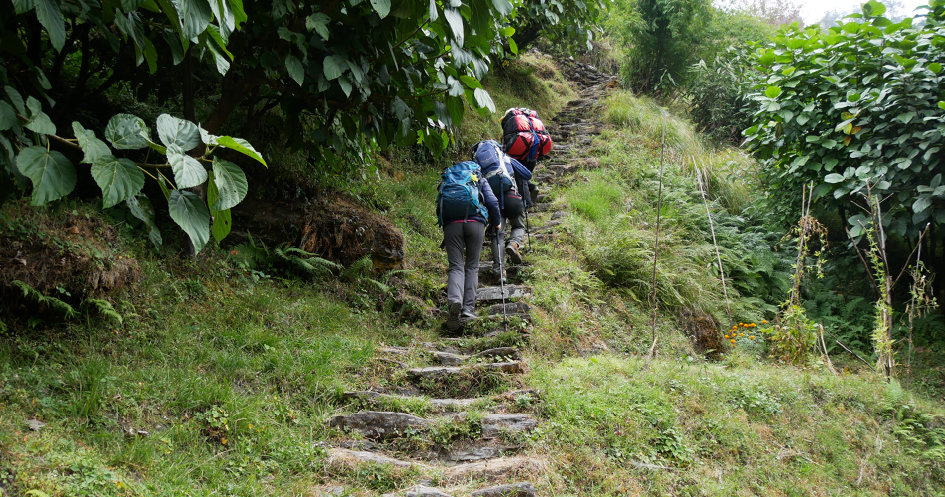 Le chemin qui monte à Chomrong