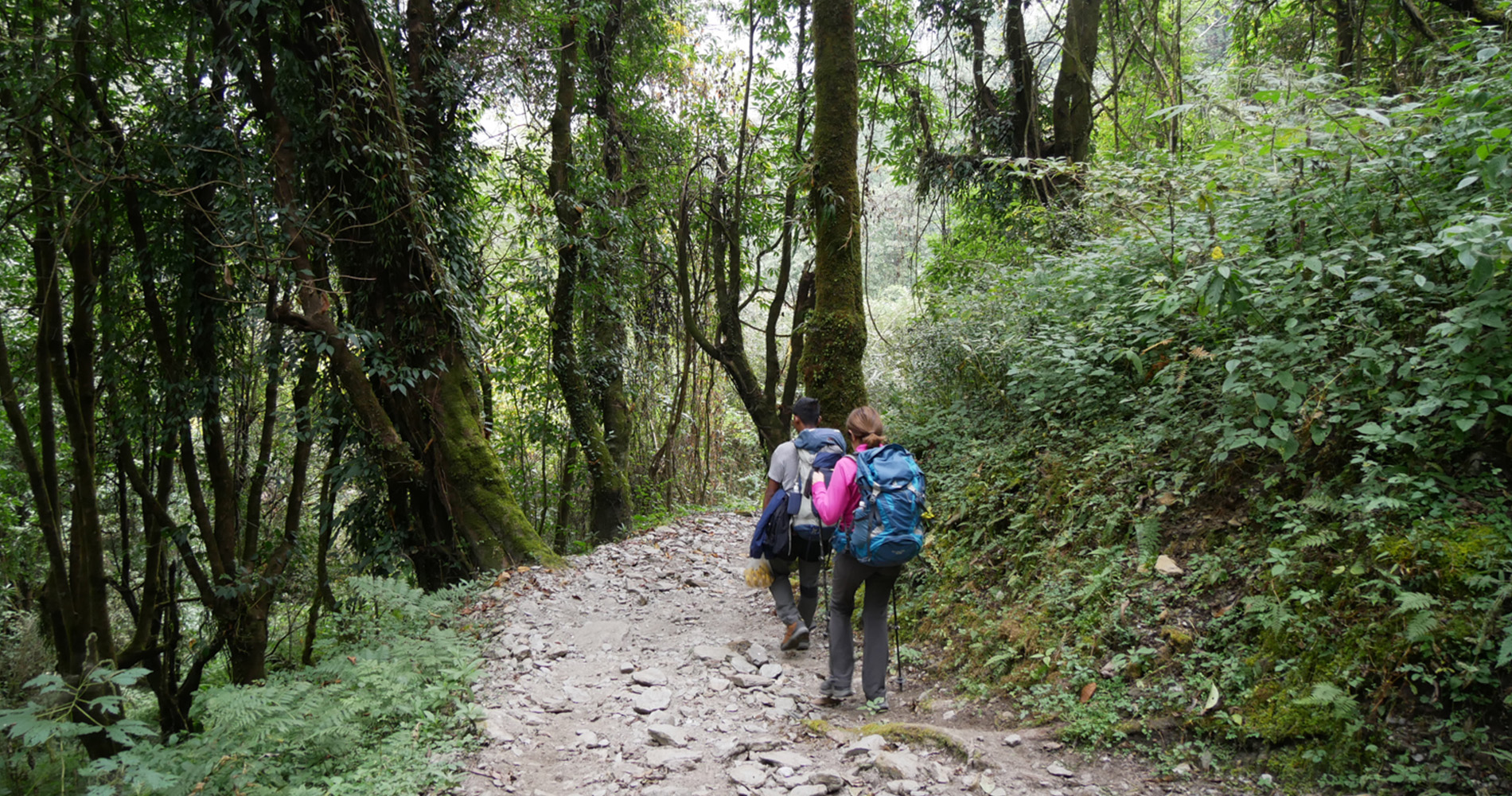 Montée à Kimrong pass