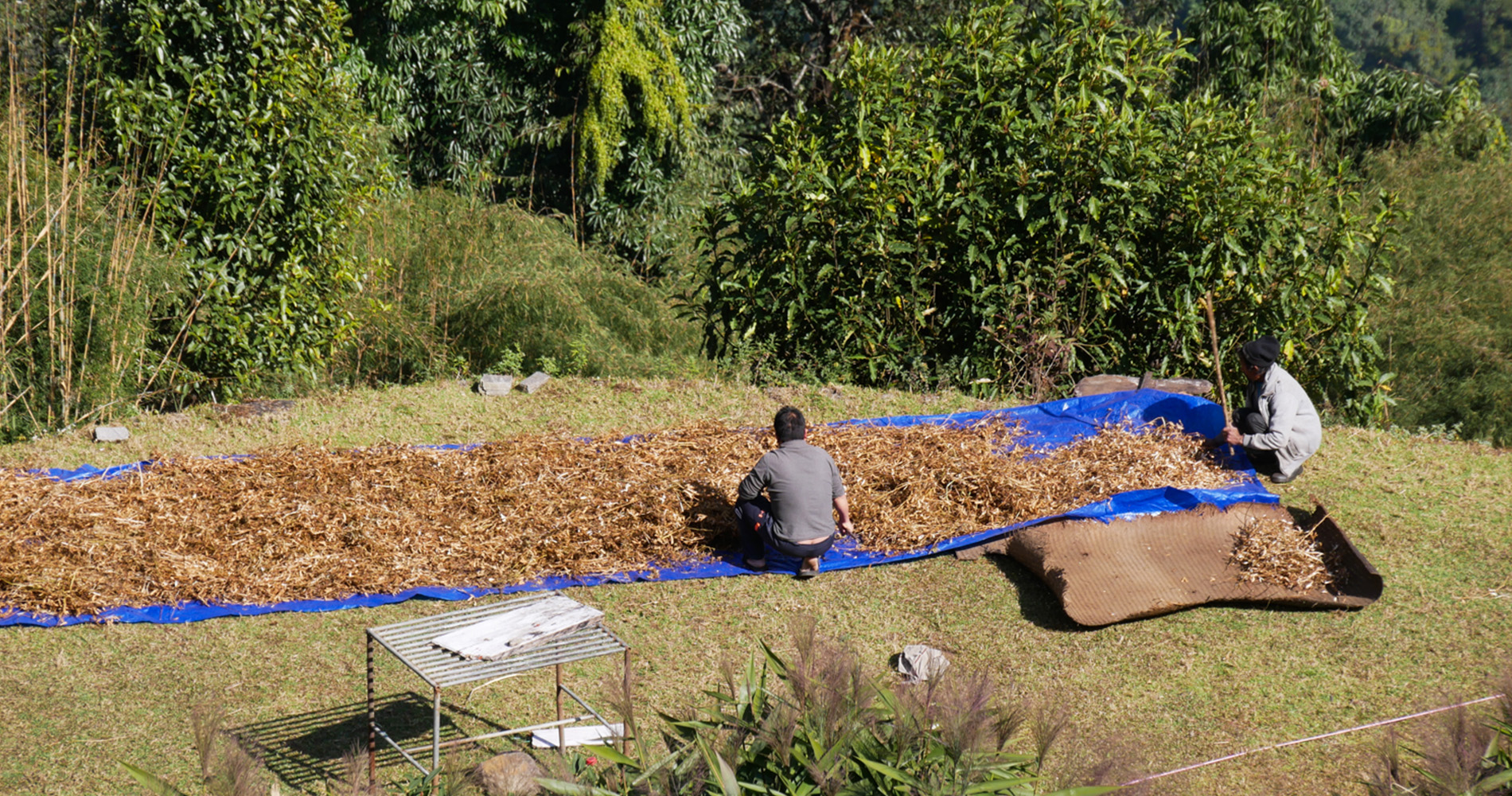 Séchage des légumes