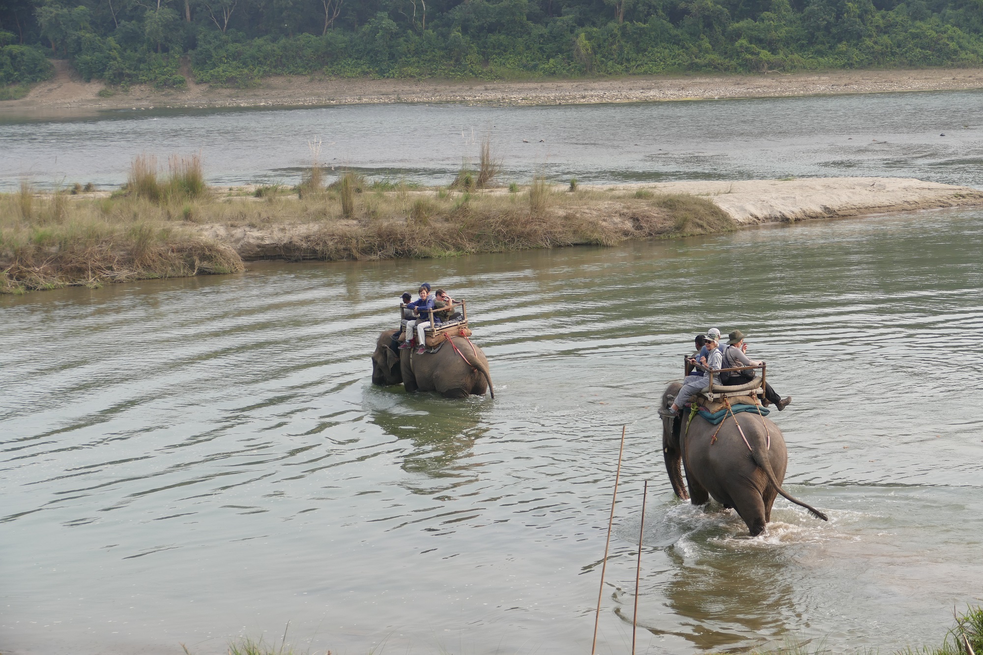 Le Parc National du Chitwan
