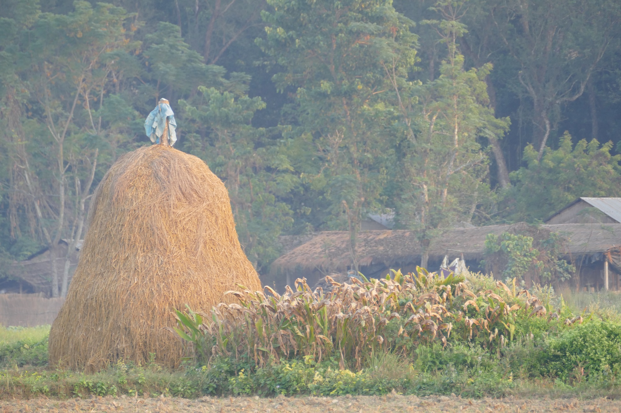 Chitwan