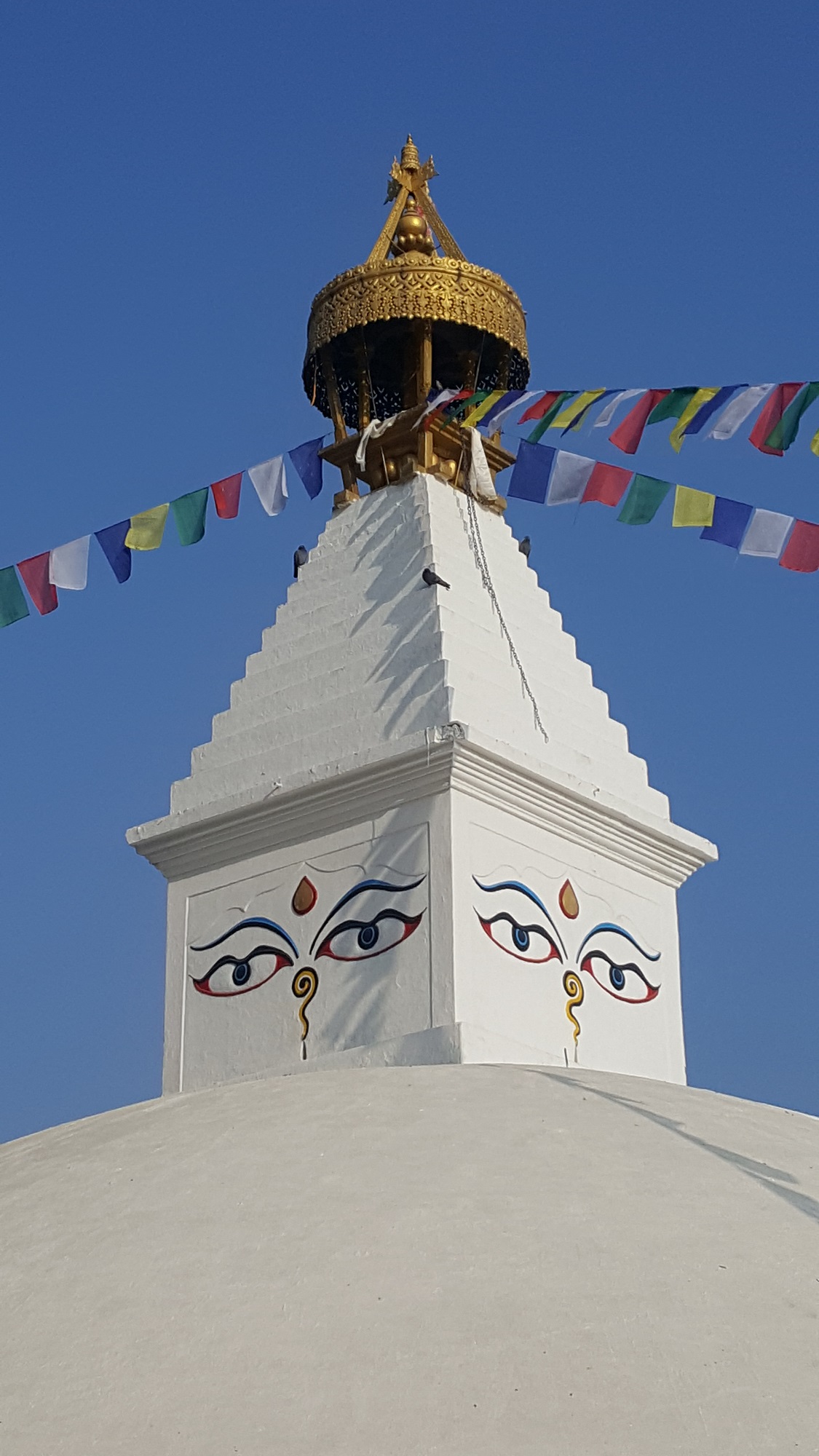 Patan Népal stupa