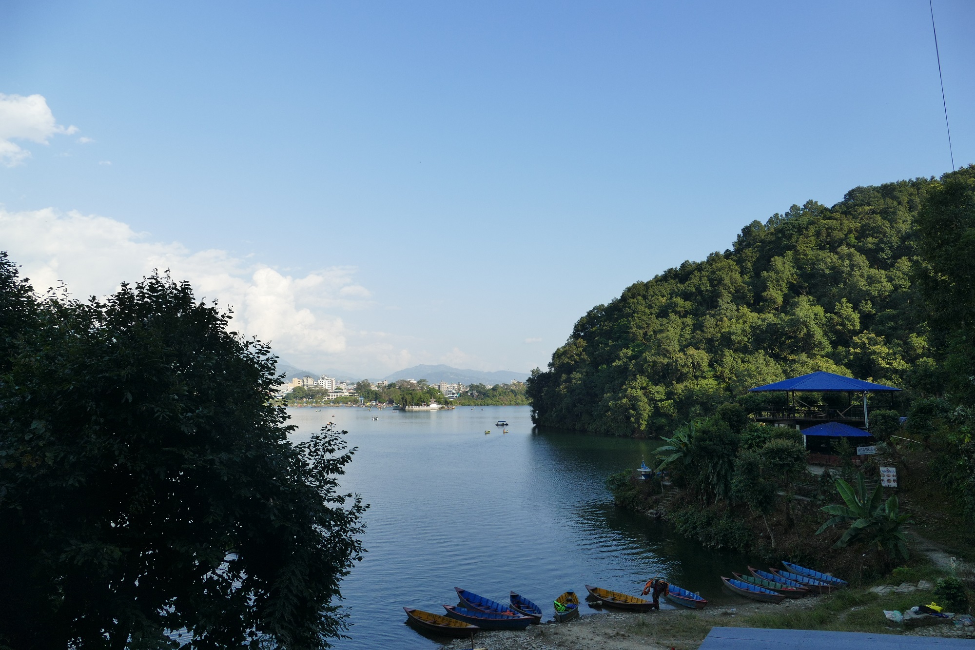 rives du lac phewa nepal
