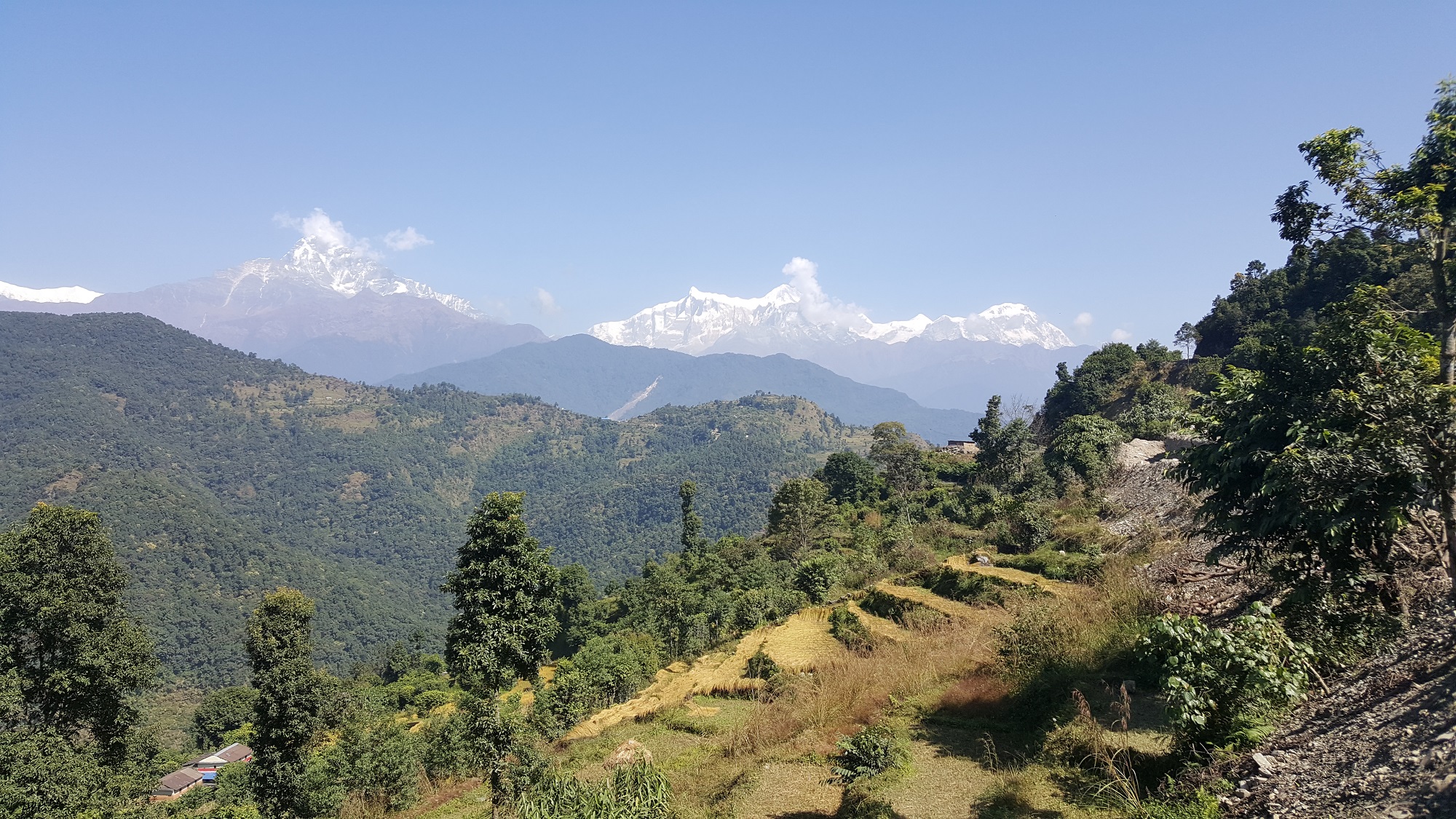 Trek de Lumle à Besanta - Annapurnas sud et Macchapuchare