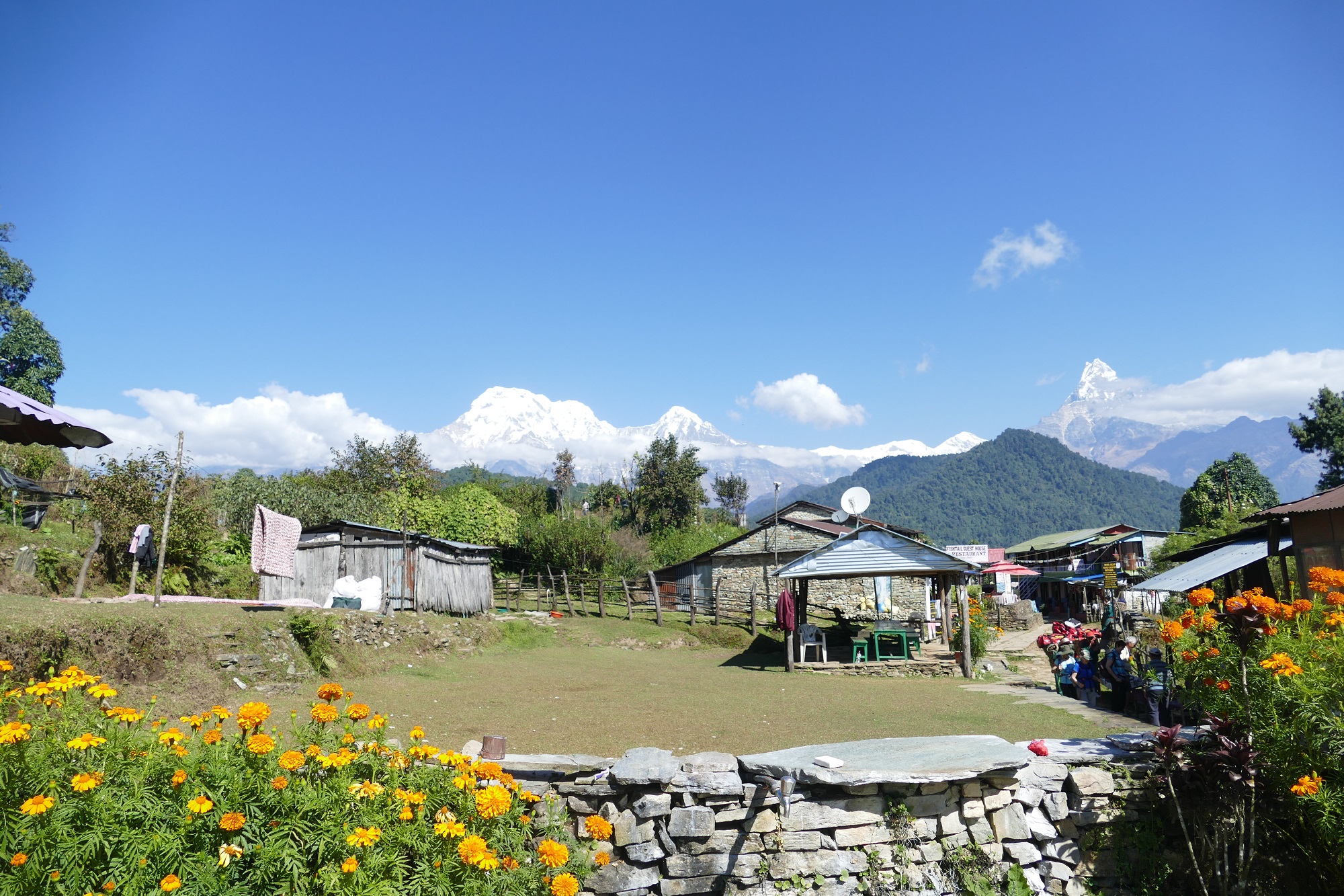 terrasse lodge nepal Trek Nepal Tirawa Severine M