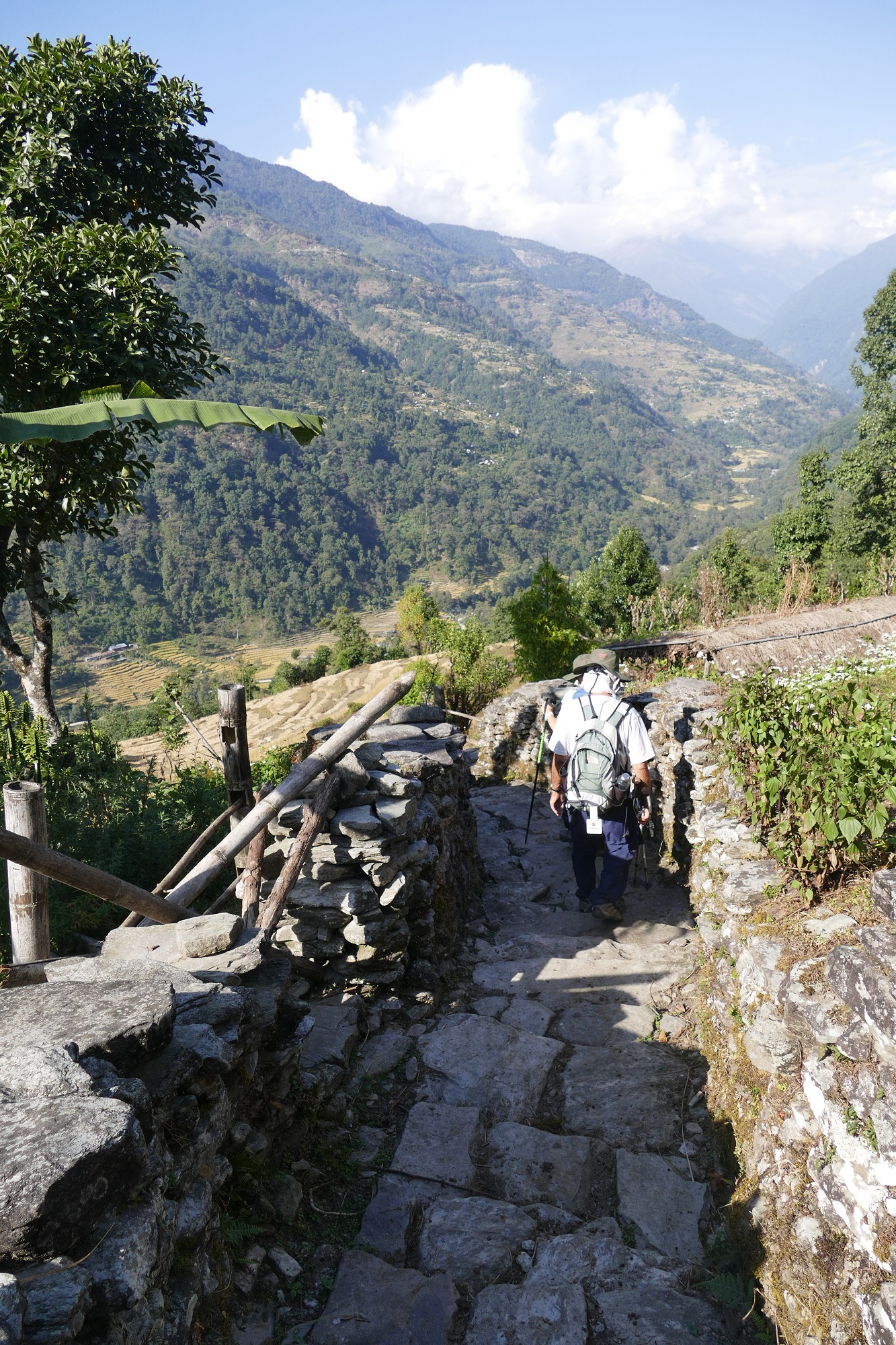chemin pierres nepal annapurna