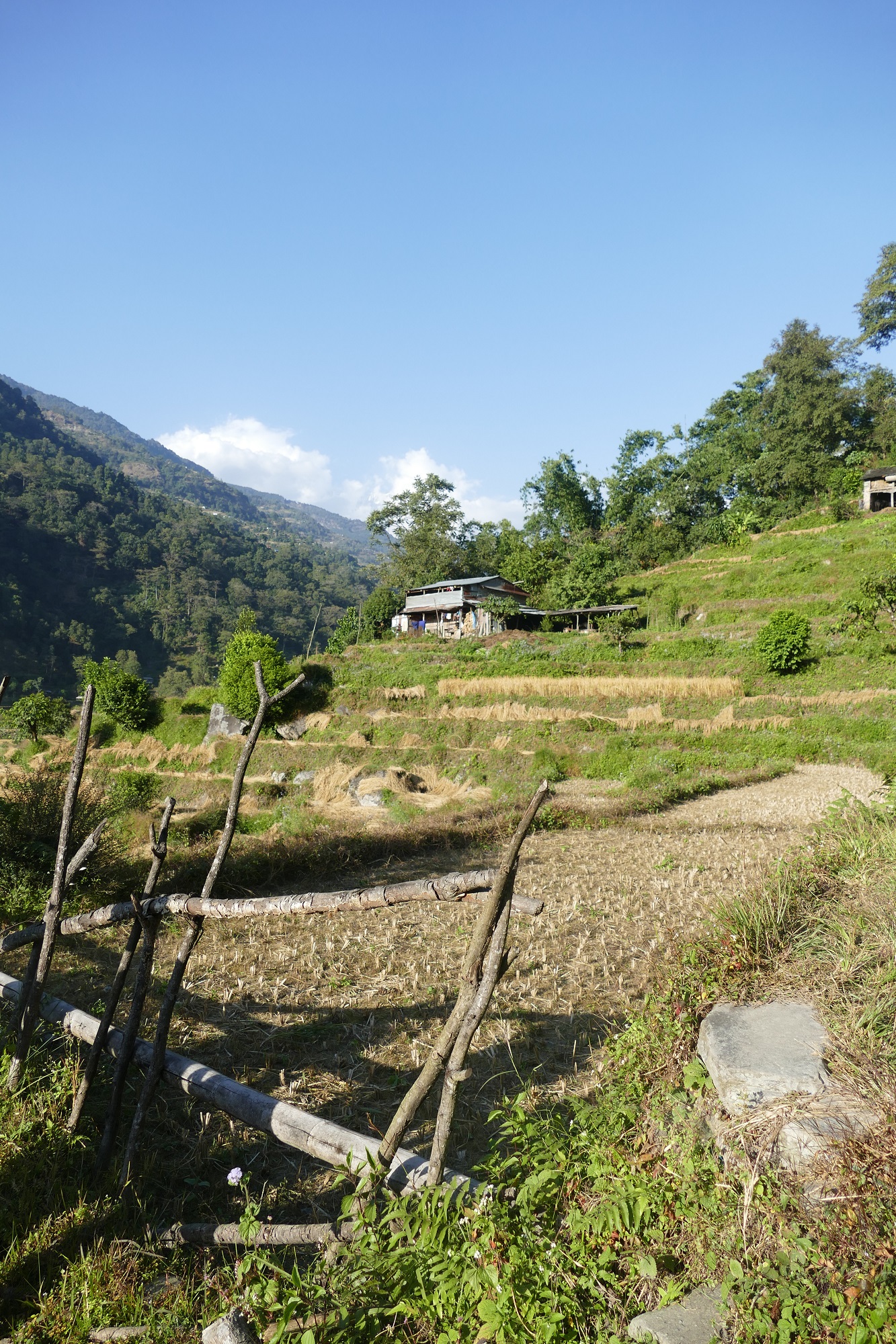 Trek de Lumle à Besanta - Annapurnas sud et Macchapuchare