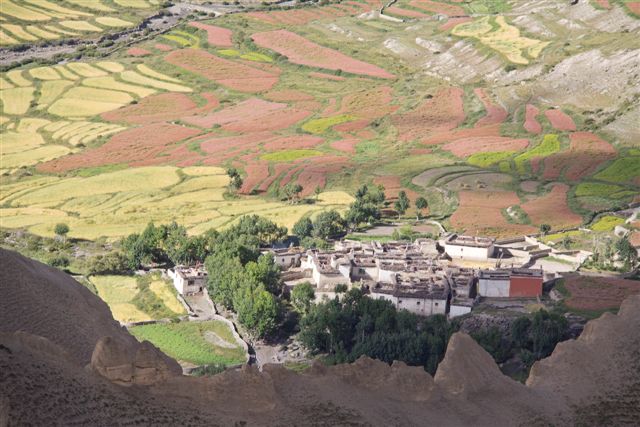 En août et septembre les cultures apportent encore plus de couleurs