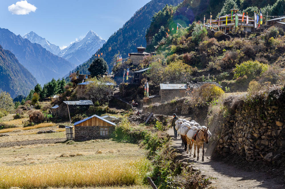 Tour du Manaslu