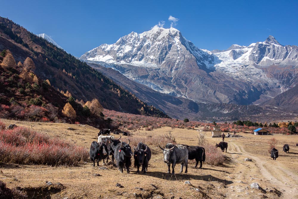 Samagaon Manaslu