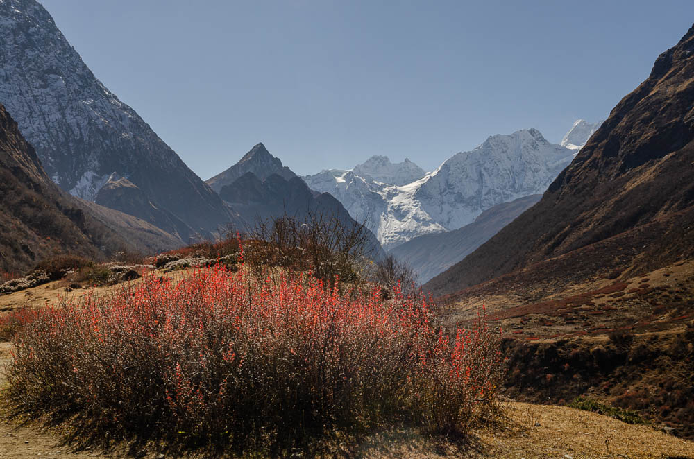 Vallée de Puggyen, Samagaon