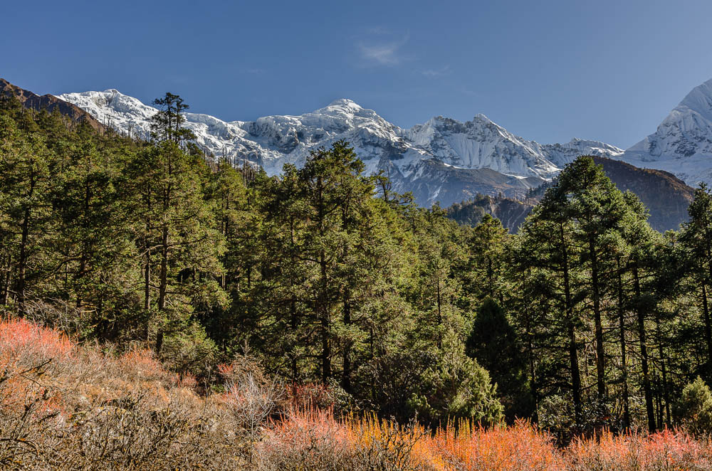 Tour du Manaslu