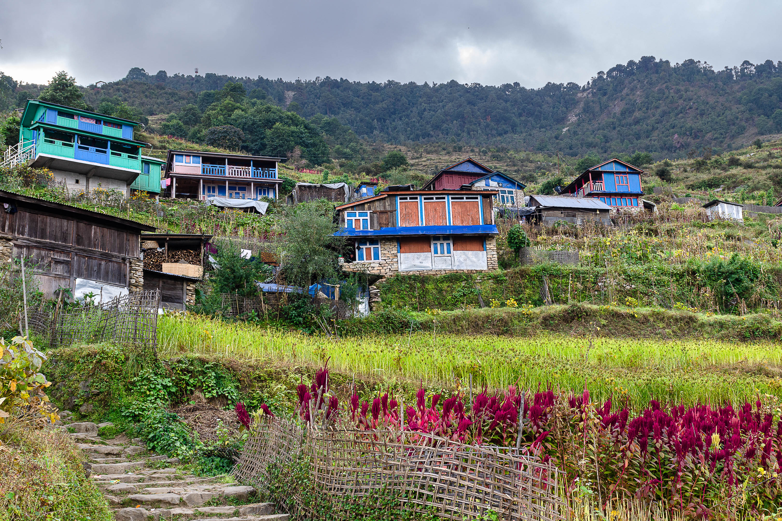 Laprak tour du manaslu Népal