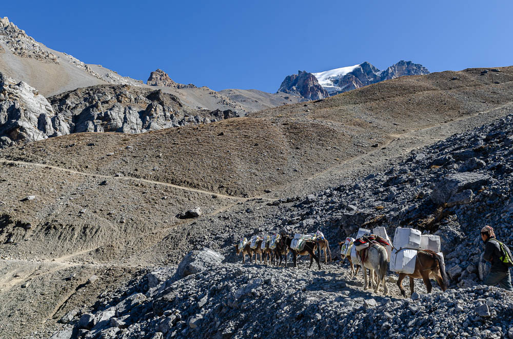 Passage du Thorong La