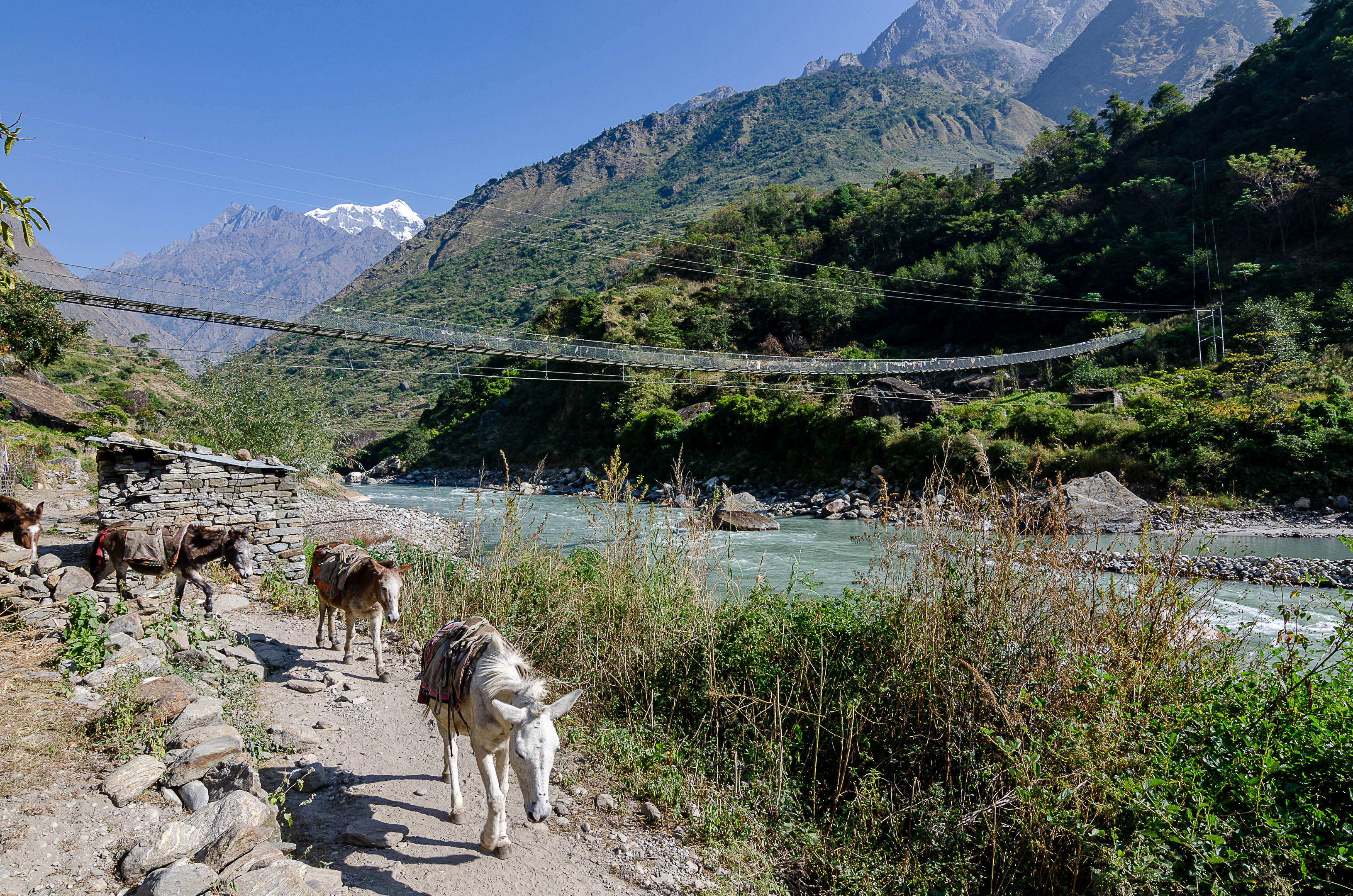 Vallée de Tsum Népal