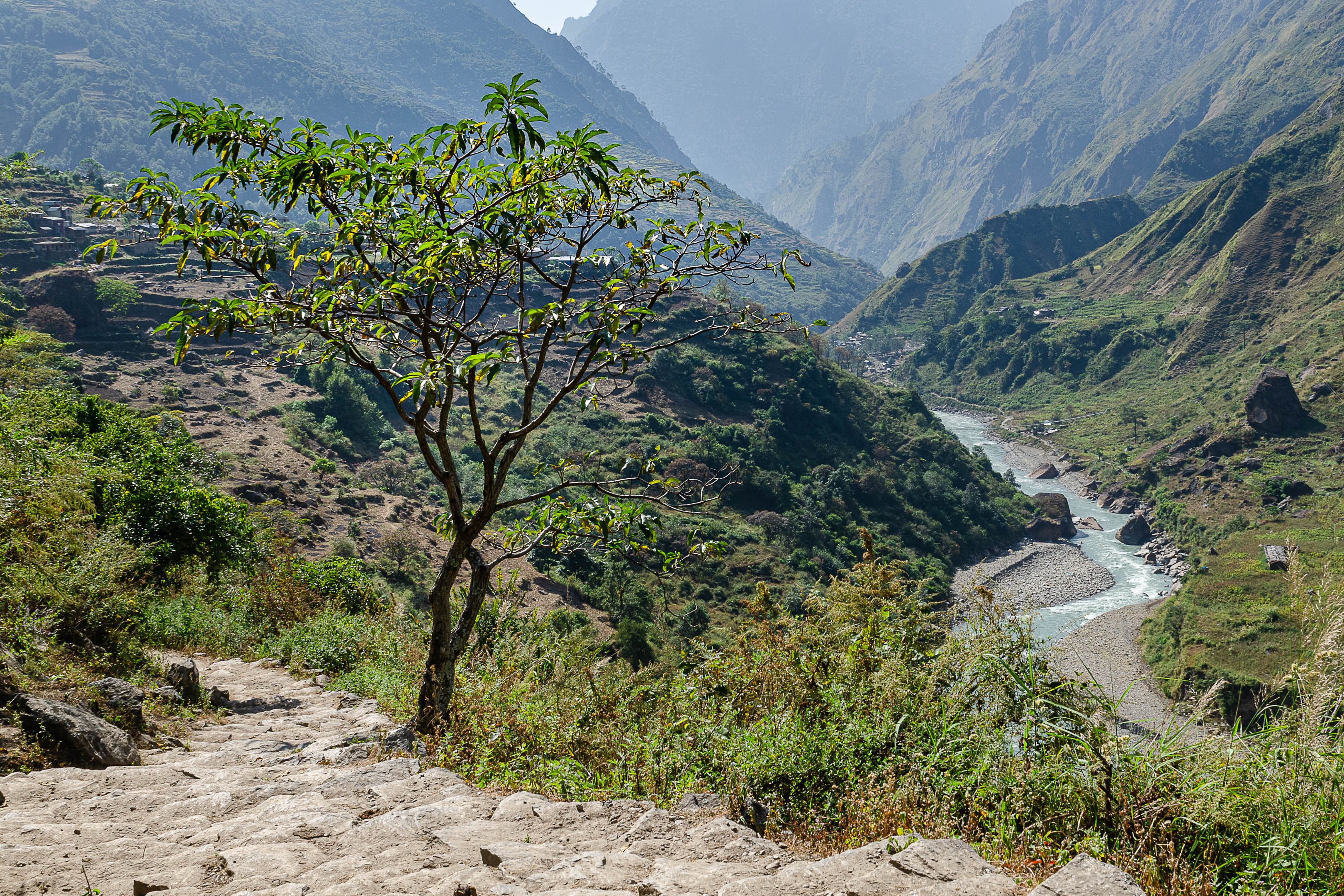 Vallée de Tsum Népal