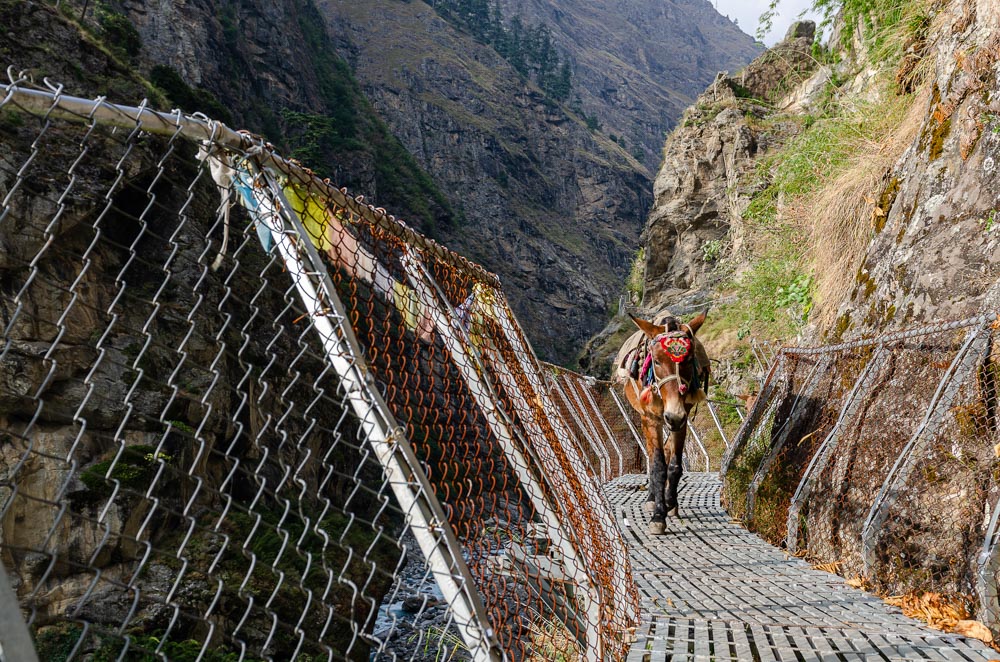 Les mêmes passerelles - Retour sur l'itinéraire du Manaslu par Ripchet