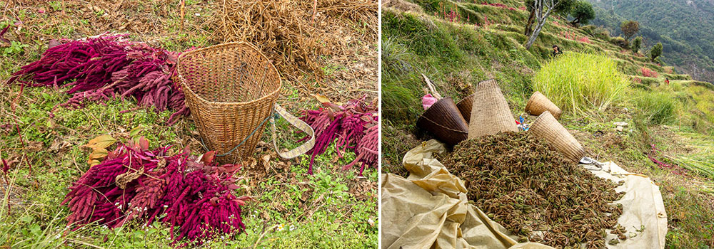 De Barpak à Khorlabesi en passant par Laprak