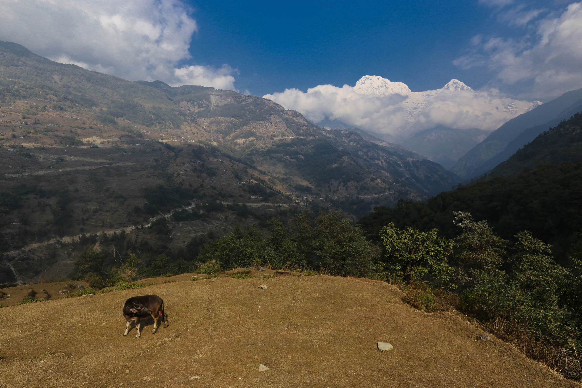 Sur la rive droite de la Modi Khola