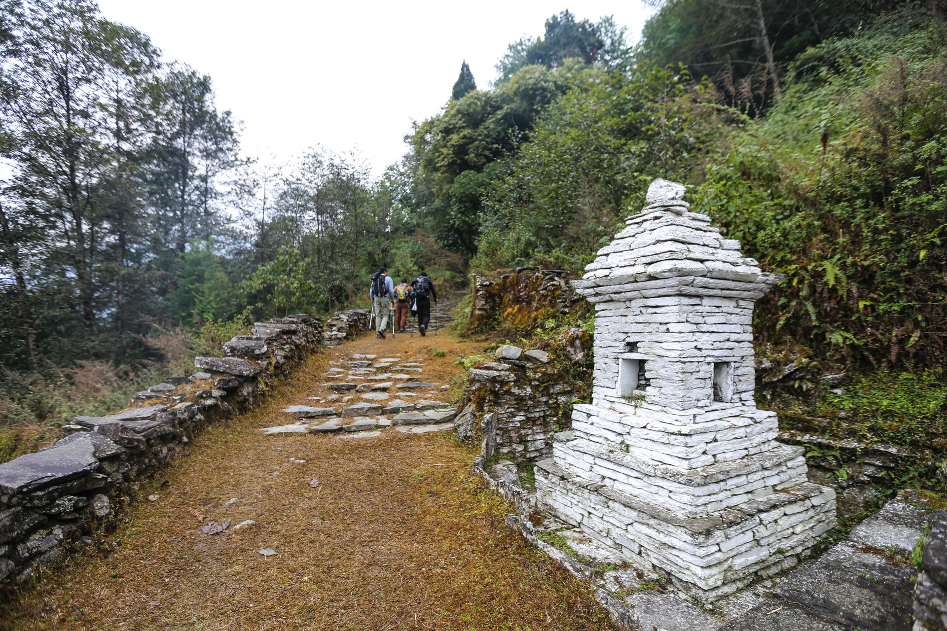 Un ancien sentier, juste après Malla Lodge