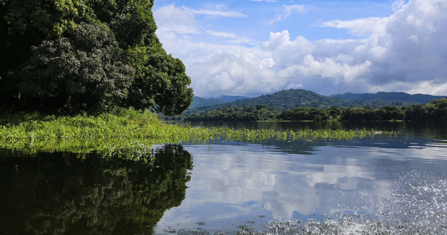 Ambiance, entre eau et forêt vierge