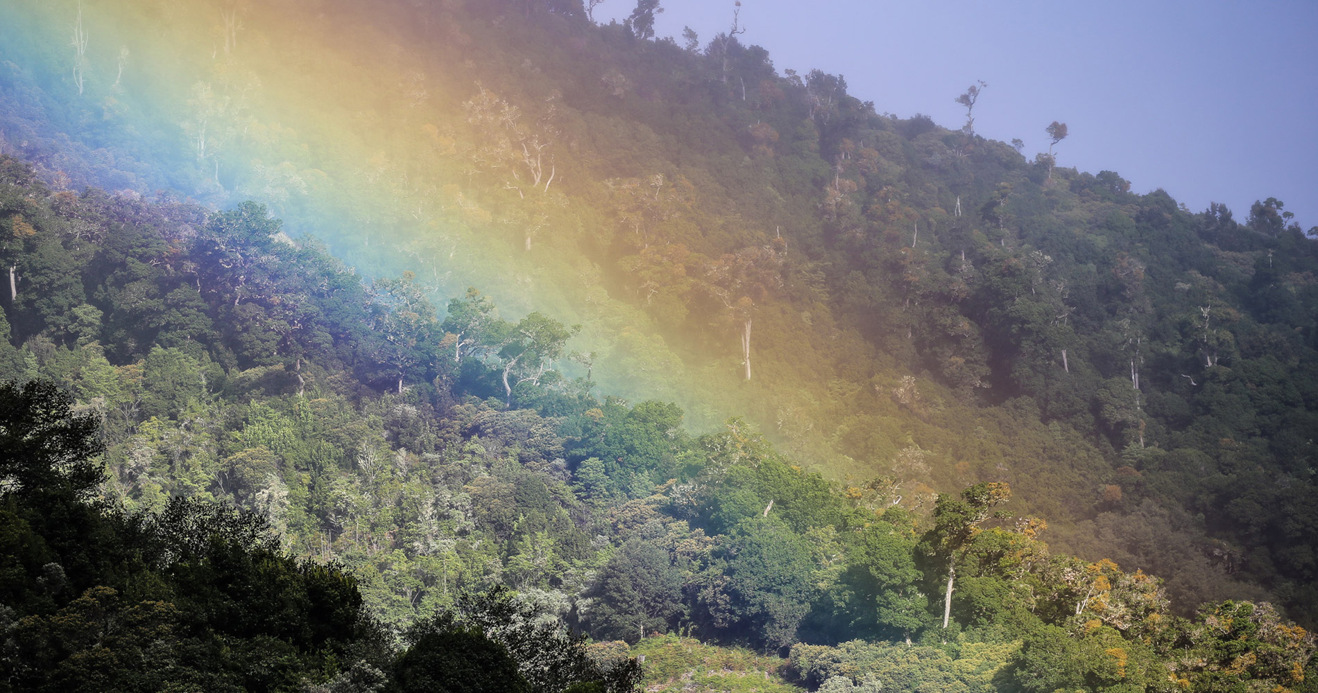 Arc en Ciel dans la vallée du Rio Savegre