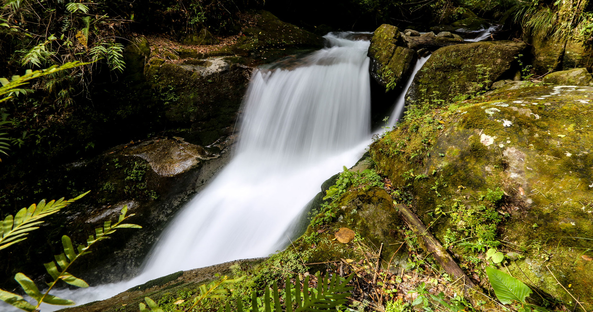 Grande cascade sur le Rio Savegre