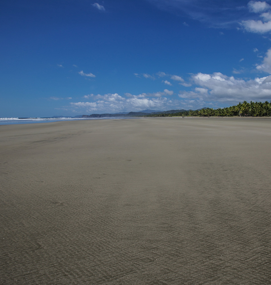 Plage de Coyote