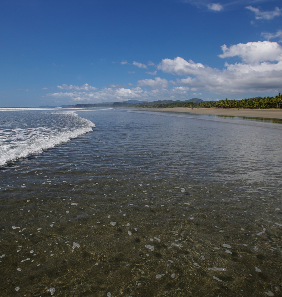 Plage de Coyote