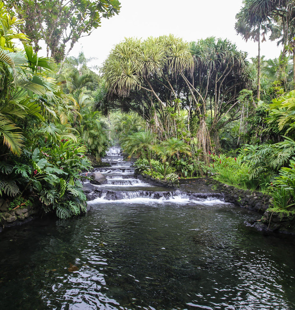 Ambiance dans le parc des termes