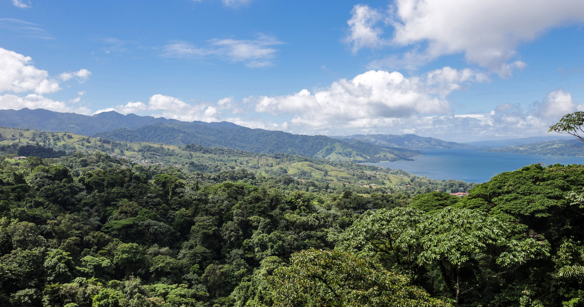 Depuis un nid d’aigle, vue sur le lac Arenal