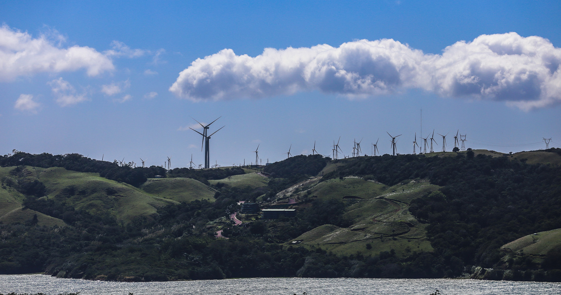 Sur la ligne de crête, une forêt d’éoliennes