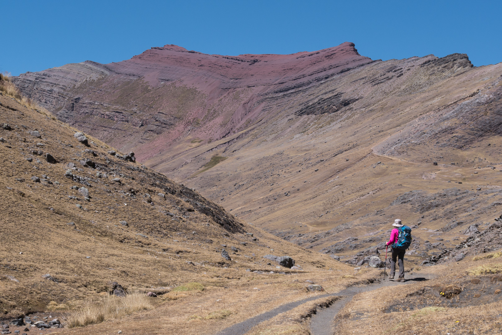 Troupeaux d'alpagas - Trek > Col Arapa > Col Apacheta > Lagune Jatun Ausangatecocha