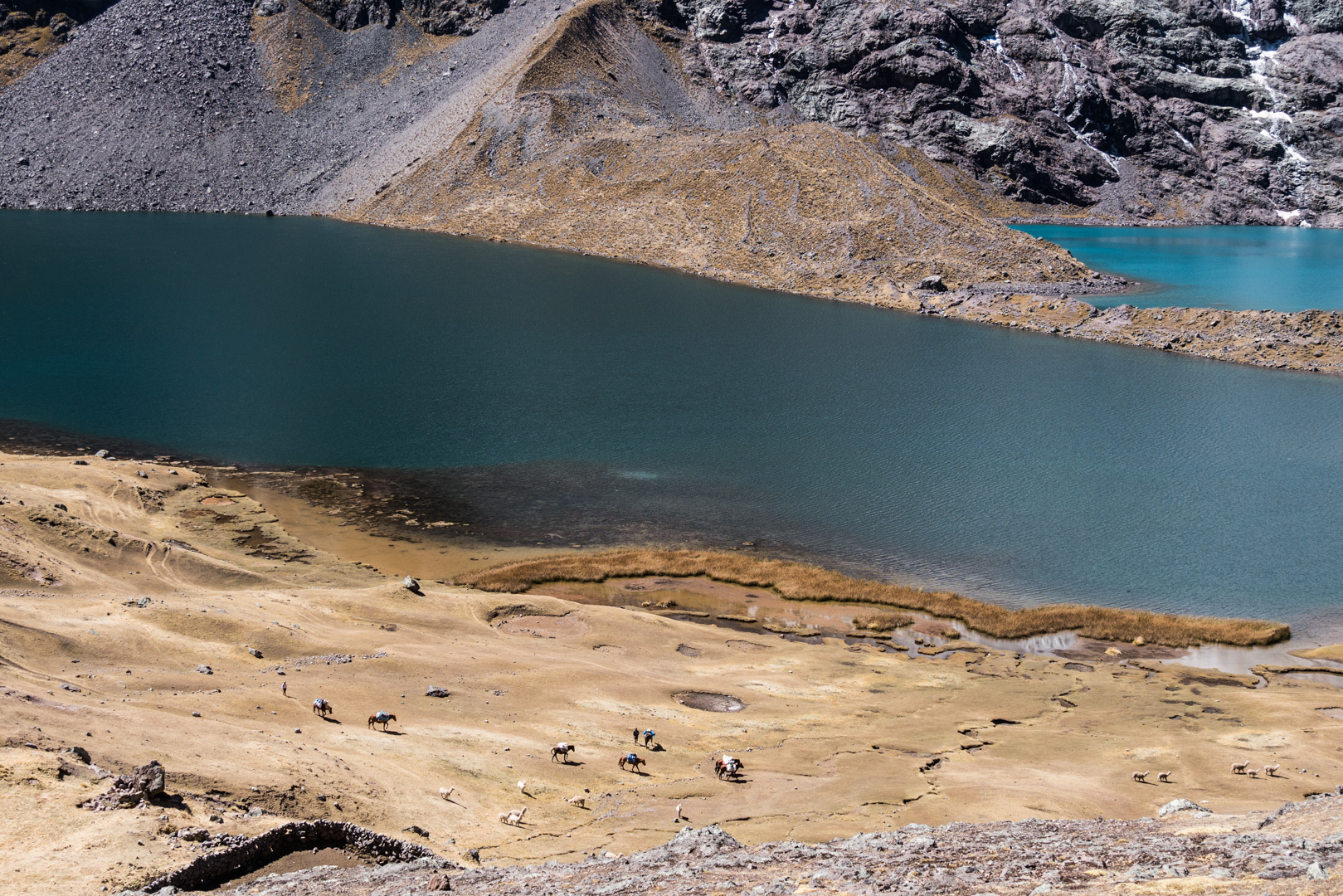 Lagunes, chevaux et alpagas - Trek > Col Arapa > Col Apacheta > Lagune Jatun Ausangatecocha