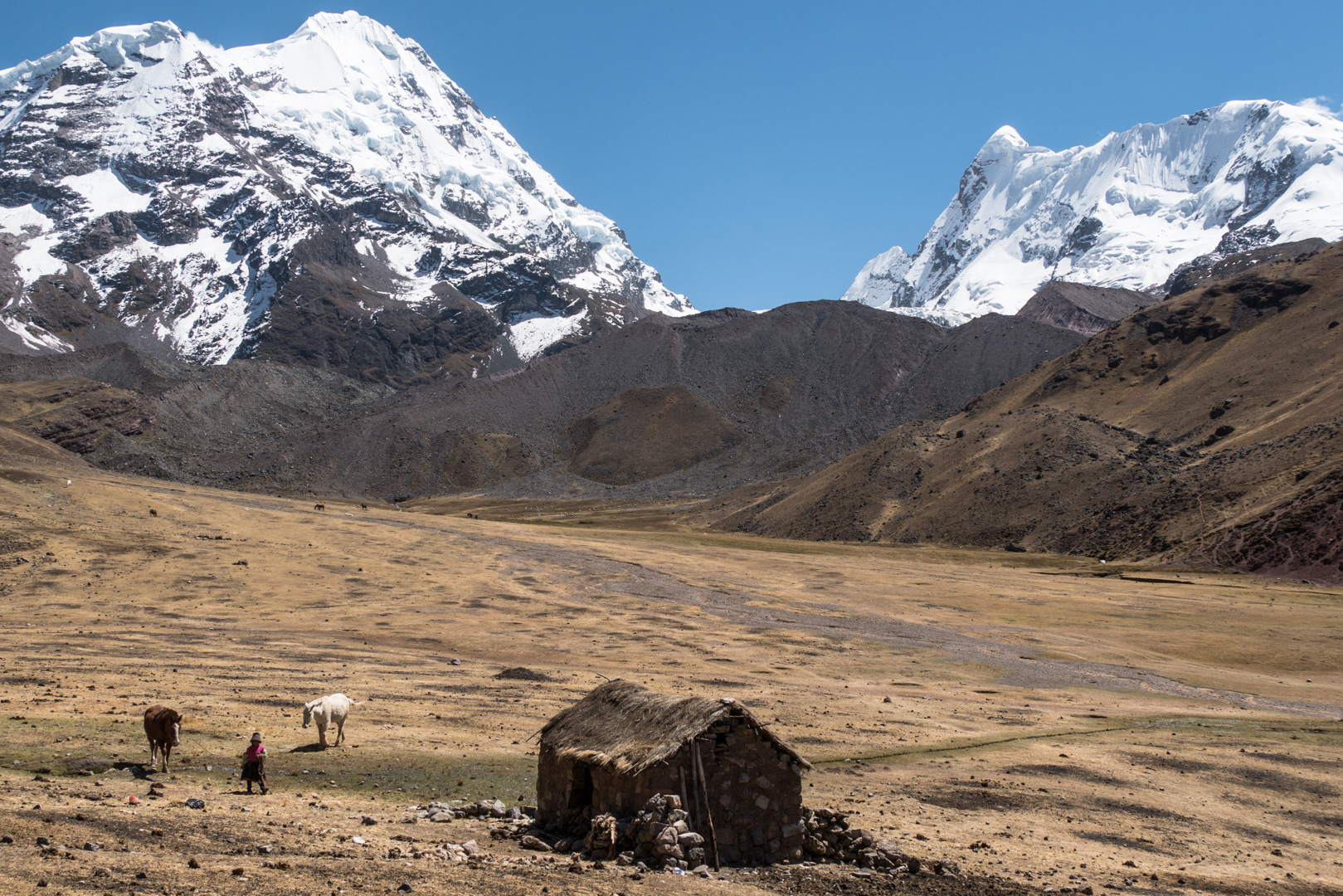 L'Ausangate depuis le plateau - Trek > Col Alto Palomani > Vallée Jampa