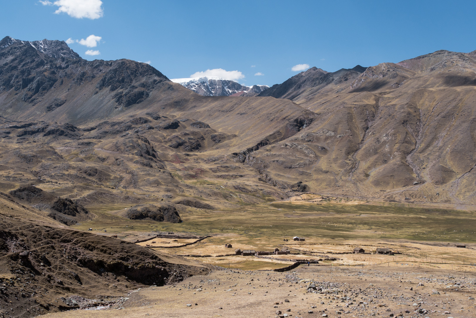 Vallée de Pampa Cancha - Trek > Col Alto Palomani > Vallée Jampa